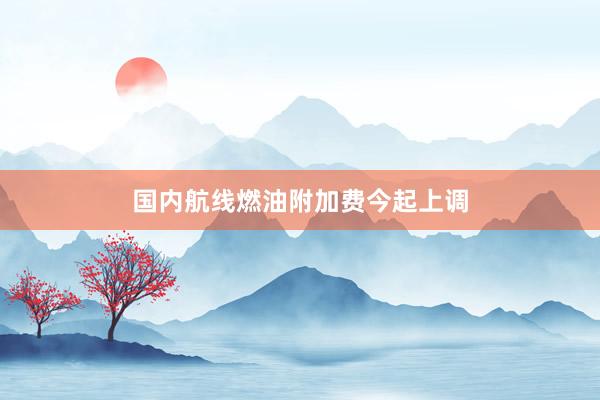 国内航线燃油附加费今起上调