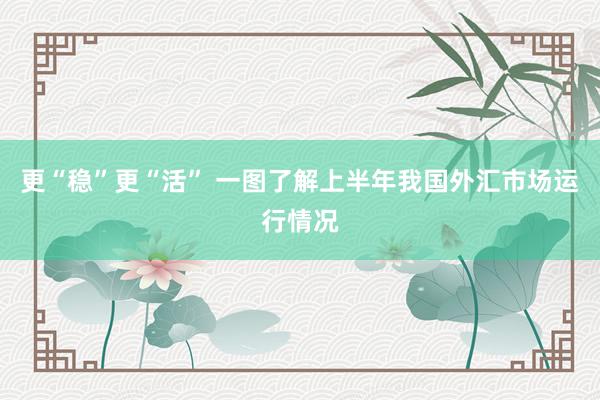 更“稳”更“活” 一图了解上半年我国外汇市场运行情况