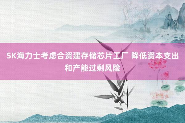 SK海力士考虑合资建存储芯片工厂 降低资本支出和产能过剩风险
