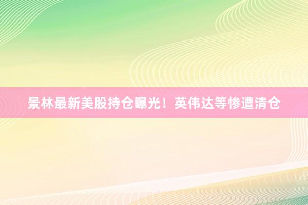 景林最新美股持仓曝光！英伟达等惨遭清仓
