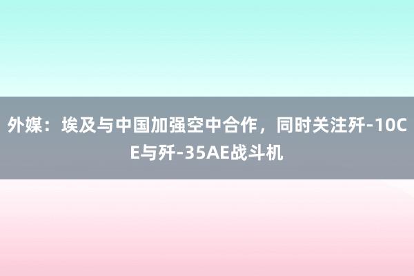 外媒：埃及与中国加强空中合作，同时关注歼-10CE与歼-35AE战斗机