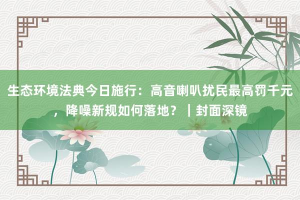 生态环境法典今日施行:高音喇叭扰民最高罚千元,降噪新规如何落地?|封面深镜