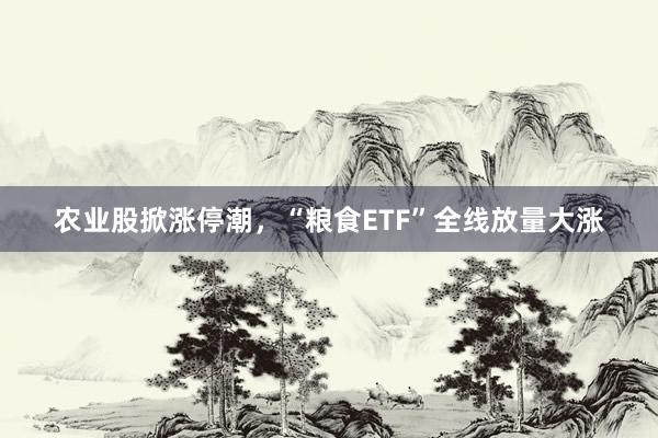 农业股掀涨停潮，“粮食ETF”全线放量大涨