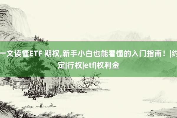 一文读懂ETF 期权,新手小白也能看懂的入门指南！|约定|行权|etf|权利金